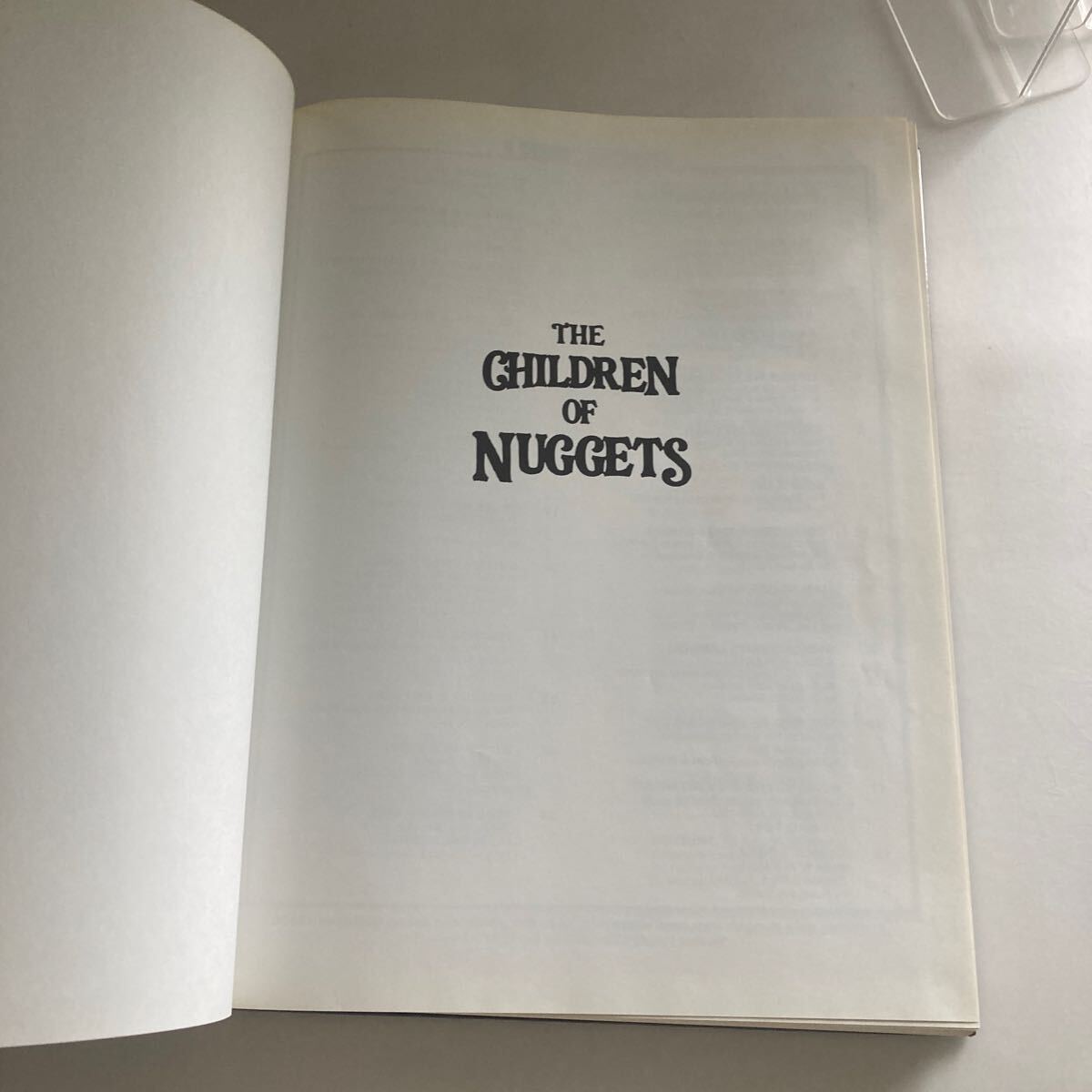 ◇ THE CHILDREN OF NUGGETS BY DAVID WALTERS ROCK＆ROLL 洋書 ※アンダーライン引きあり写真参照 ♪GM07_画像4