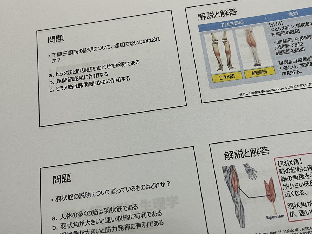 【2024年版】NSCA-CPT試験対策問題集（700問）オールカラー_画像8