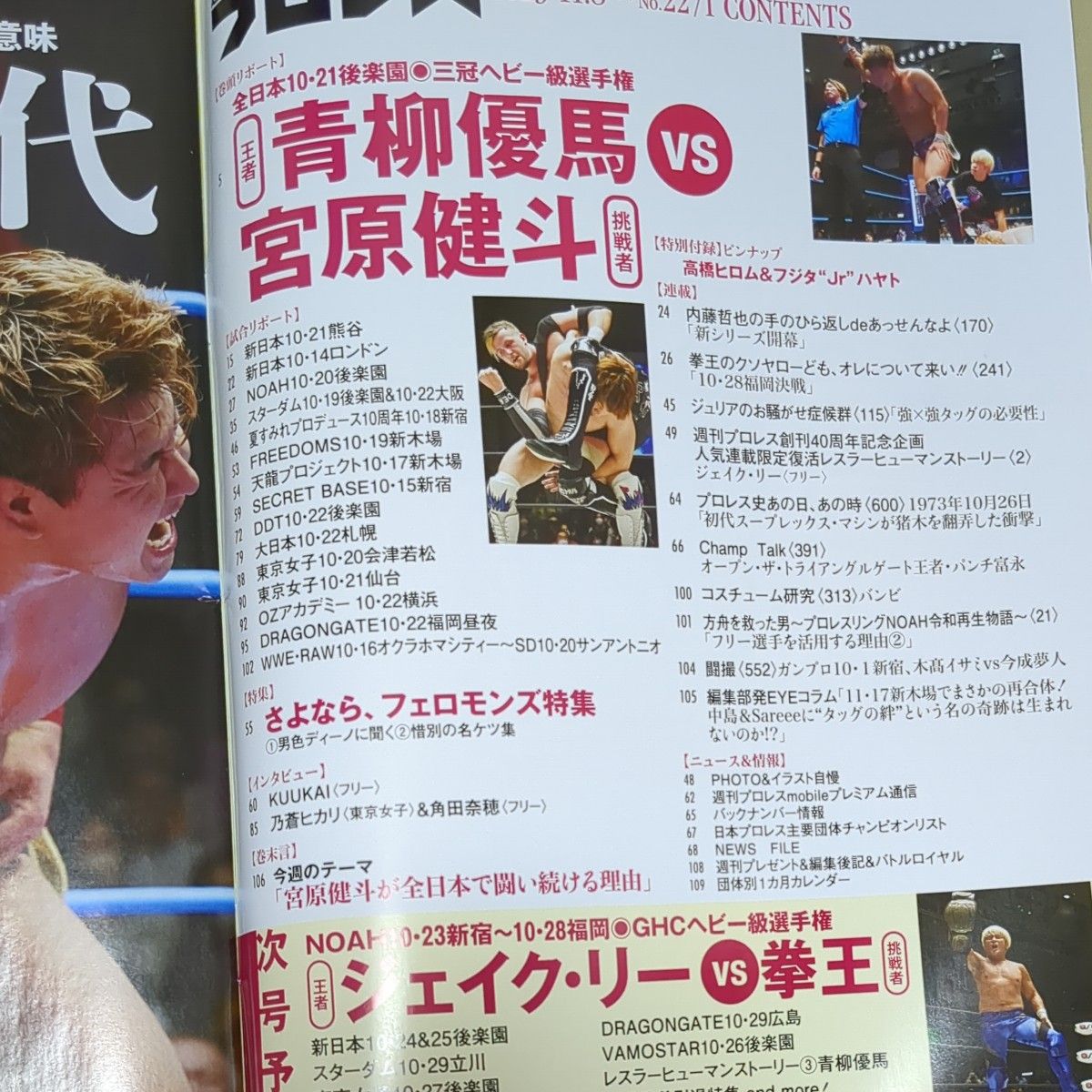 週刊プロレス No2271 2273