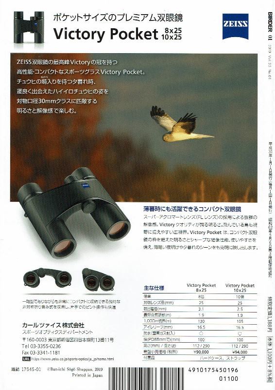 BIRDER 2019年1月号　特集：キキツキ類大百科　コクガン　スマスコ撮影講座_画像2