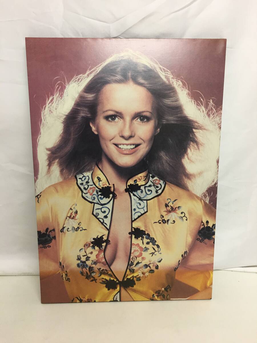 ☆シェリル・ラッド/Cheryl Ladd 木製 ポスターパネル　チャーリーズエンジェル Charlie's Angels 当時物 ビンテージ 昭和レトロ_画像1