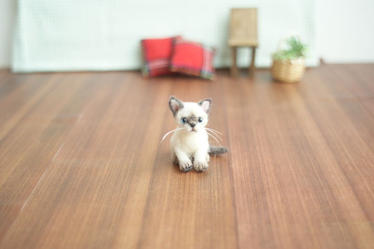 ＊maru＊羊毛フェルト 小さなシャム猫の子猫 ハンドメイド ブライス 人形 ドールハウスの画像5