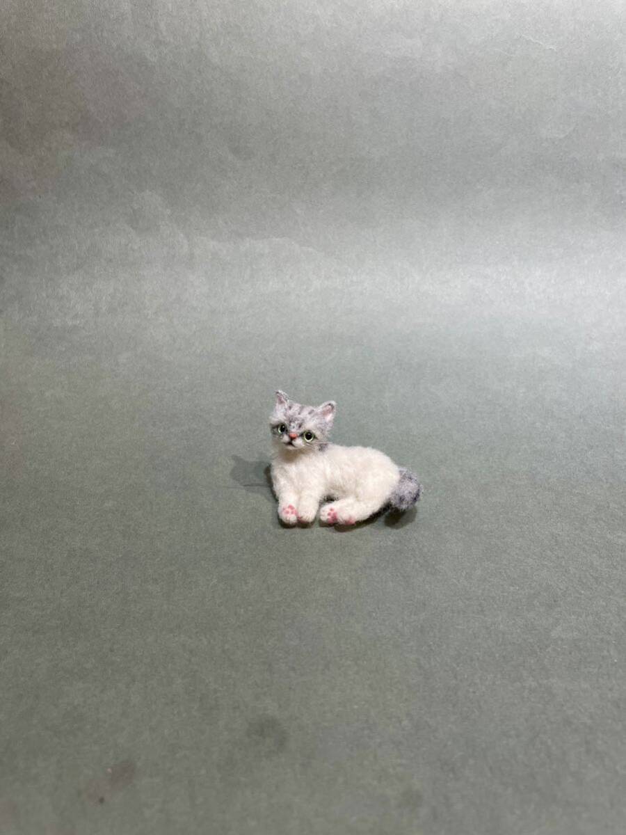 ＊maru＊羊毛フェルト 小さなペルシャ猫 チンチラシルバー ハンドメイド ブライス 人形 ドールハウスの画像10