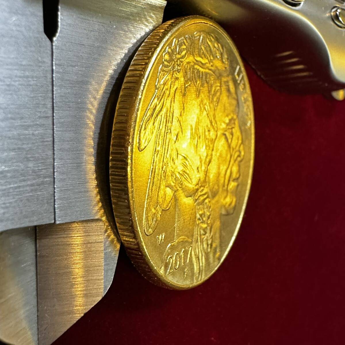 アメリカ 硬貨 古銭 アメリカン・インディアン 2017年 セントラルパーク動物園 水牛 ブラックダイヤモンド コイン 金貨 外国古銭 海外硬貨 の画像3