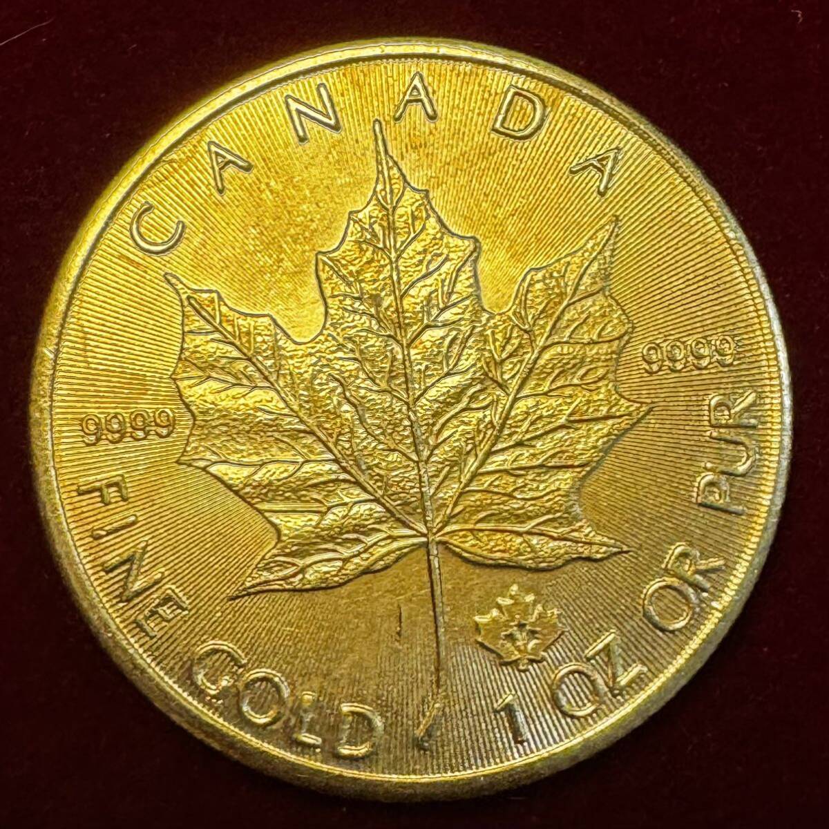 カナダ 硬貨 古銭 英連邦 2020年 エリザベス2世 メープル サトウカエデ 国章 記念幣 コイン の画像1