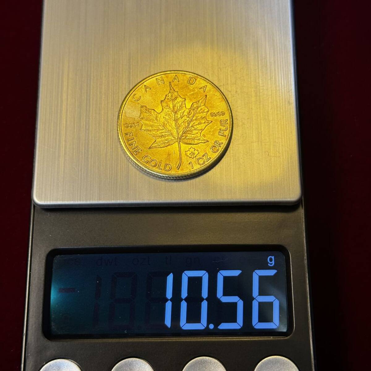 カナダ 硬貨 古銭 英連邦 2020年 エリザベス2世 メープル サトウカエデ 国章 記念幣 コイン _画像6