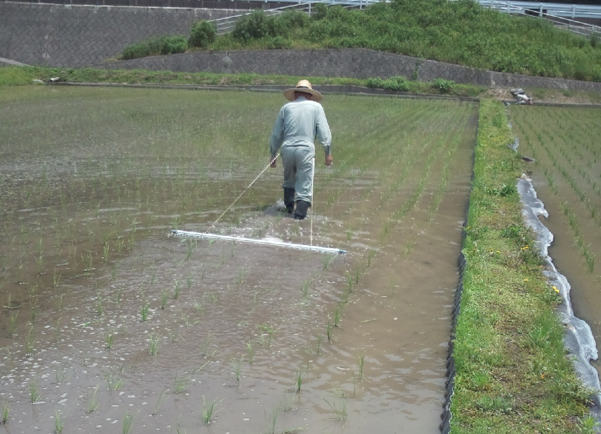 チェーン除草機 幅2.0ｍ B型チェーン12ピース/35ｃｍ 人力用 水田除草 無農薬有機栽培・春準備用品の画像5