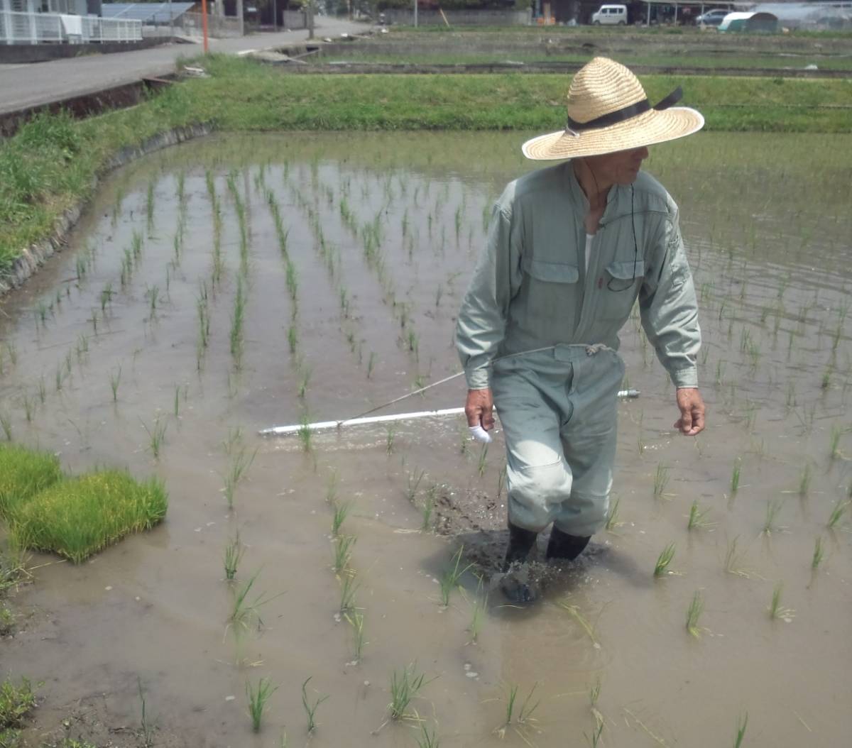 チェーン除草機 幅2．55ｍ(8条) B型チェーン35ｃｍ12ピース 人力用（体力に自信のある方に）水田除草  無農薬有機栽培・春準備用品の画像6