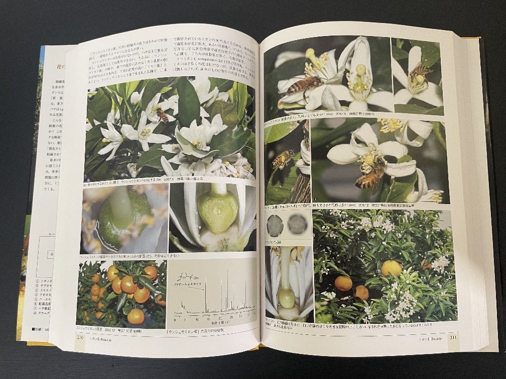  bee from .. flower. world Sasaki regular . work ( old book )