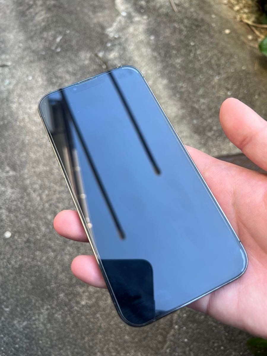 【台湾版 シャッター音なし】Apple iPhone 13 pro max 128GB SIMフリー