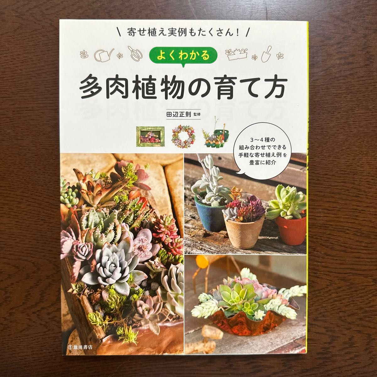  よくわかる多肉植物の育て方　寄せ植え実例もたくさん！ （寄せ植え実例もたくさん！） 田辺正則／監修