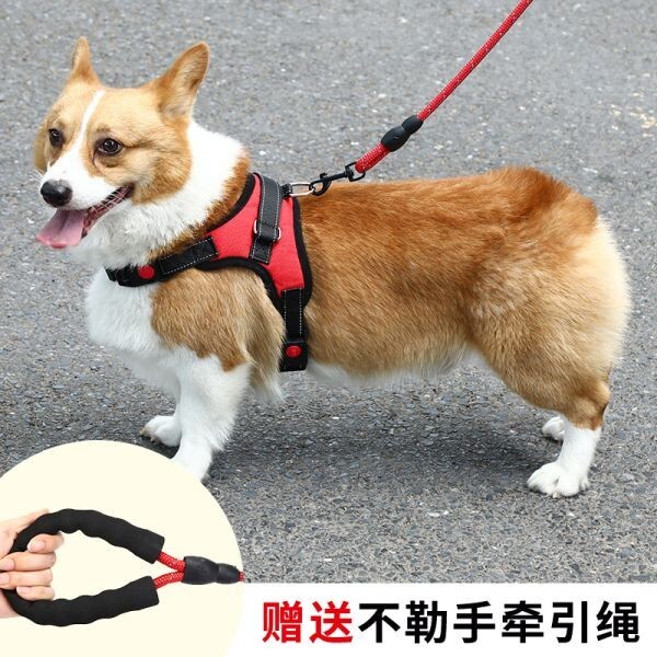 [新品/赤S-B] ペット用品 犬用 リード 胴輪 Sサイズ 赤 犬 ペット 10点セットの画像3