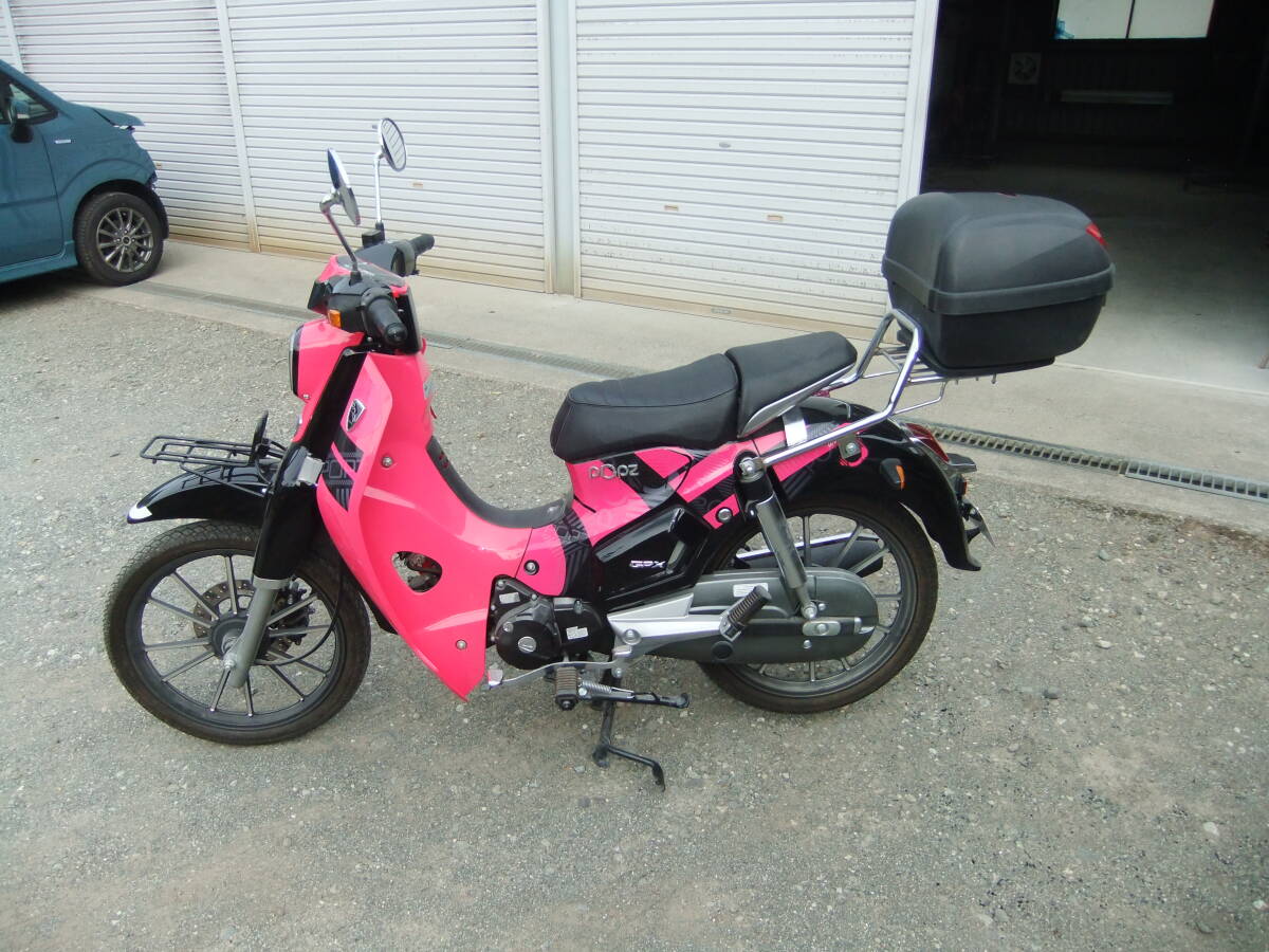 GPX Popz125 中古美車_画像3