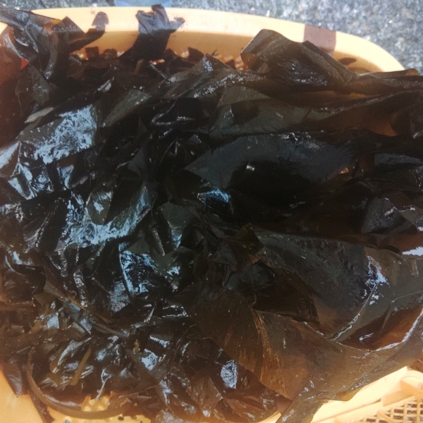 【生のまま冷凍】のワカメ！２ｋｇ（1ｋｇ入真空パック袋×２個）わかめ 味噌汁に サラダに 塩蔵は嫌いな方におススメです。松島牡蠣屋の画像8