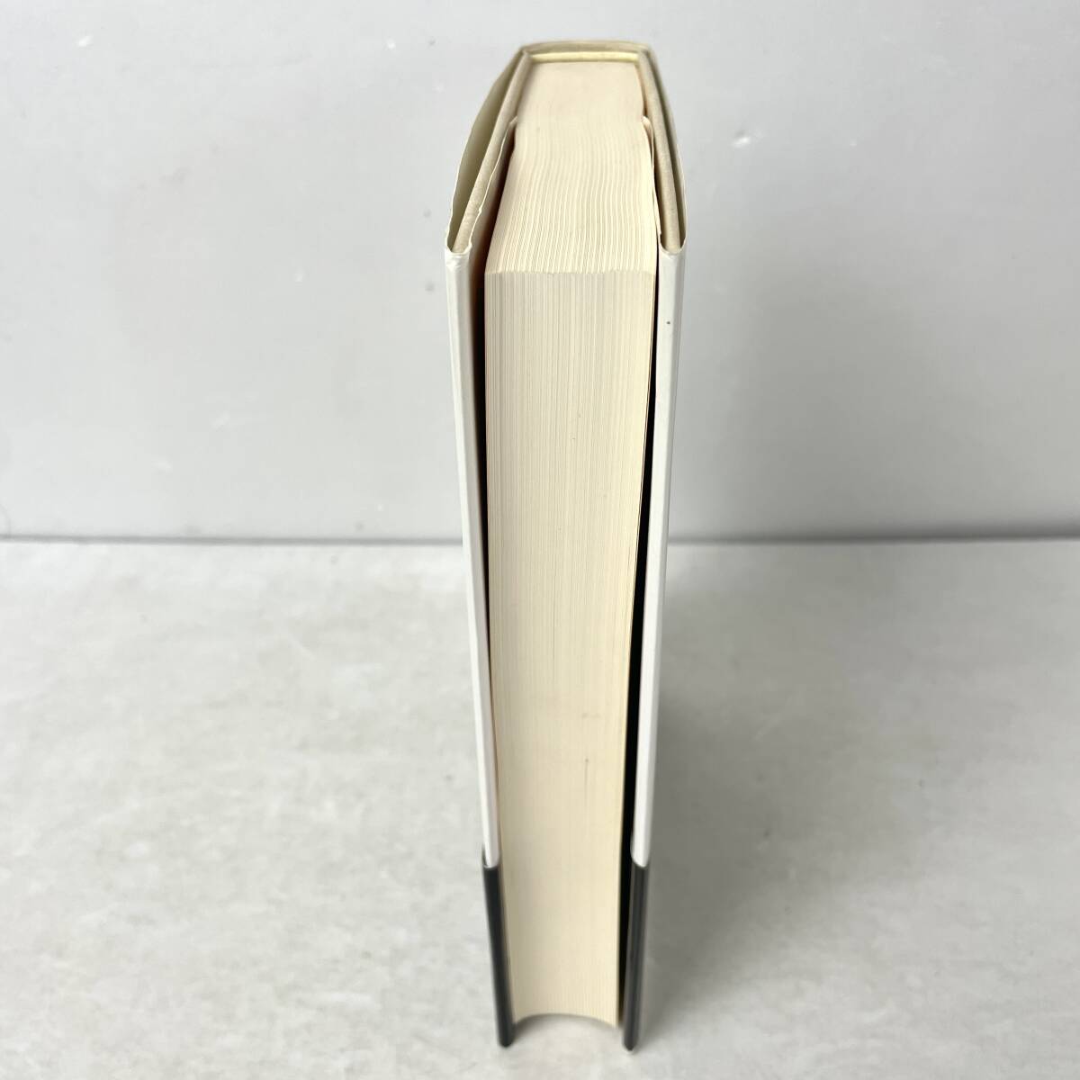 初版帯付】ドイツ哲学史 1831-1933 叢書ウニベルシタス913 ヘルベルト・シュネーデルバッハ/朴順南ほか訳 法政大学出版局 2009第1刷 - 哲学、思想 初版帯付】ドイツ哲学史 1831-1933 叢書ウニベルシタス913 ヘルベルト・シュネーデルバッハ/朴順南ほか訳 法政大学出版局 2009第1刷 - 哲学、思想