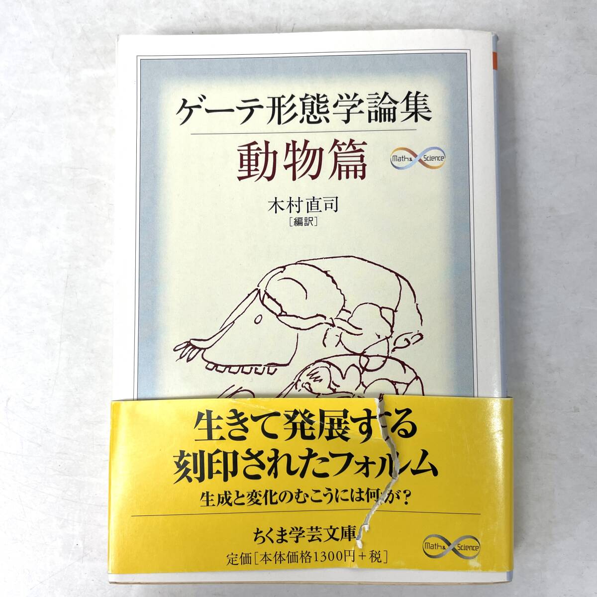 ゲーテ形態学論集　動物編　木村直司編訳　ちくま学芸文庫　筑摩書房 2009 第1刷_画像1