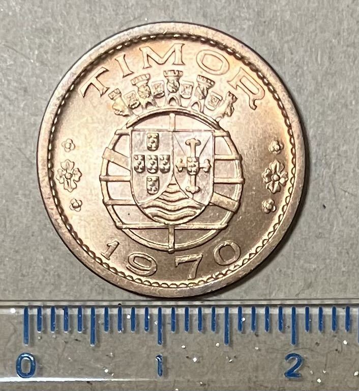 ティモール 50センタボ 1970年 青銅貨 50センターボ 外国コイン 外国古銭 コインの画像2