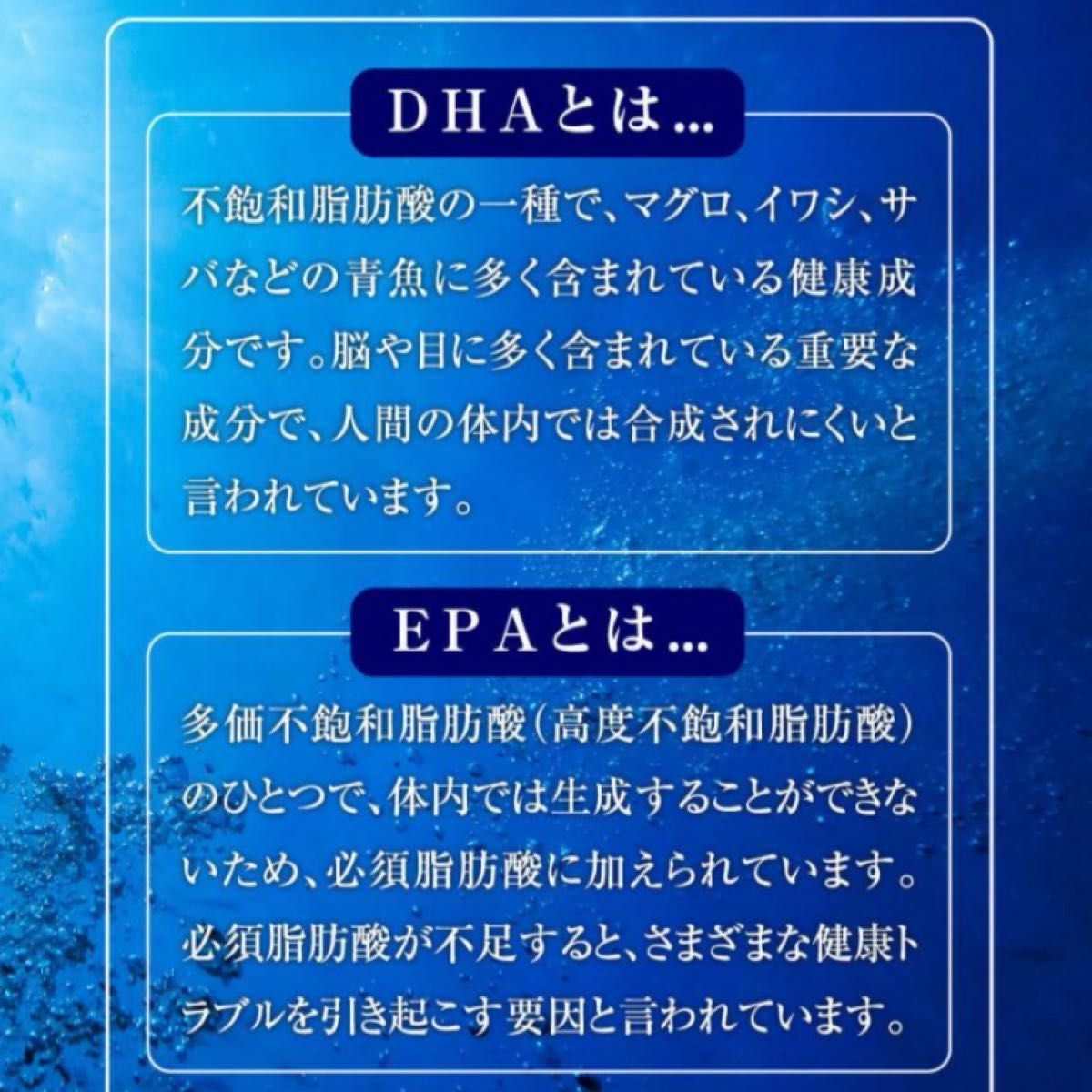 【DHA & EPA & DPA】栄養補助食品 6種類の青魚成分にサーモンオイルを配合 30カプセル約1ヶ月分×2袋 シードコムス