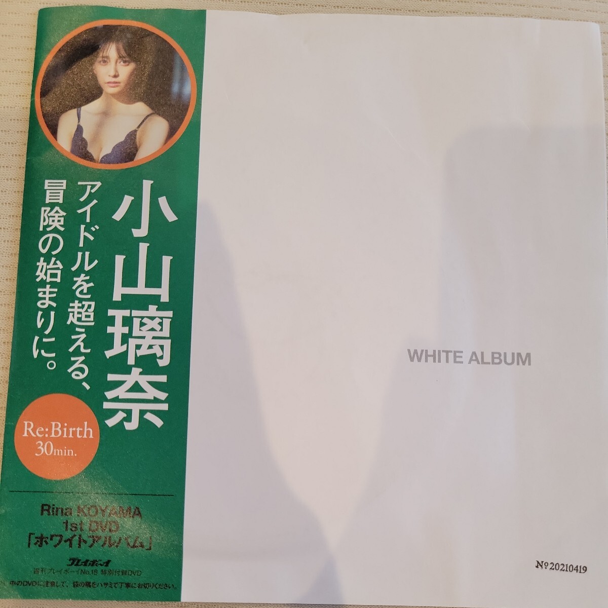 未開封 DVD ホワイトアルバム 小山璃奈 週刊プレイボーイ特別付録の画像1