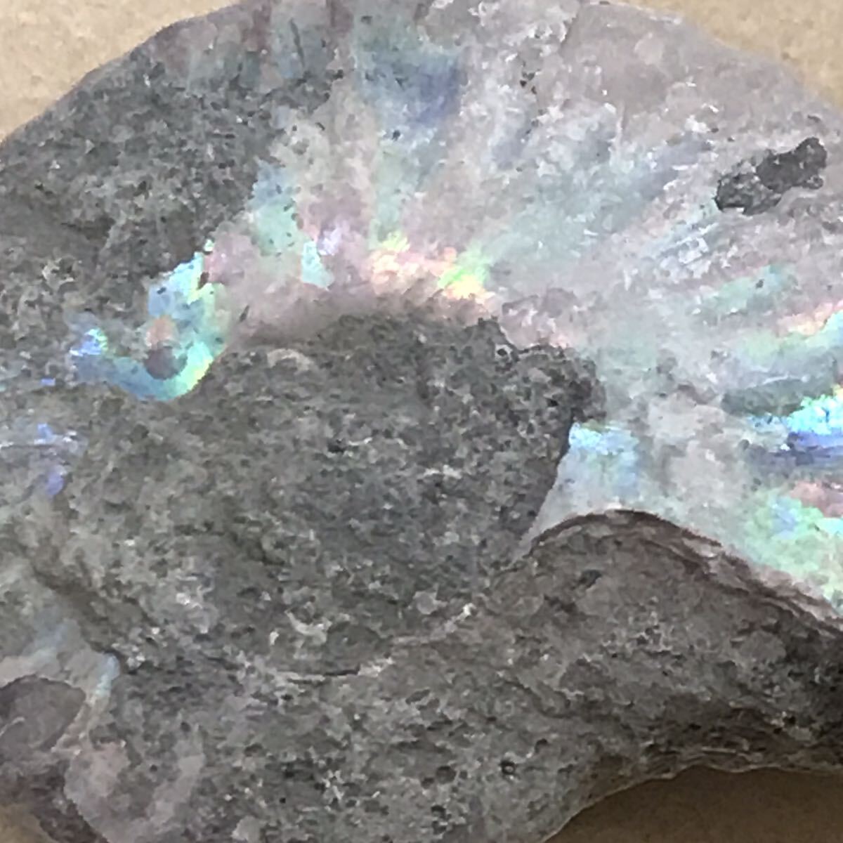化石 マダガスカル産 アンモナイト 天然石 クリオニセラス 虹色の発色 標本 の画像4