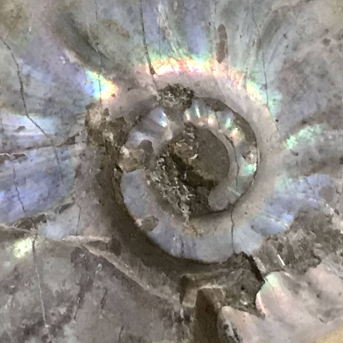 化石 マダガスカル産 アンモナイト 天然石 クリオニセラス 虹色の発色 標本 _画像4