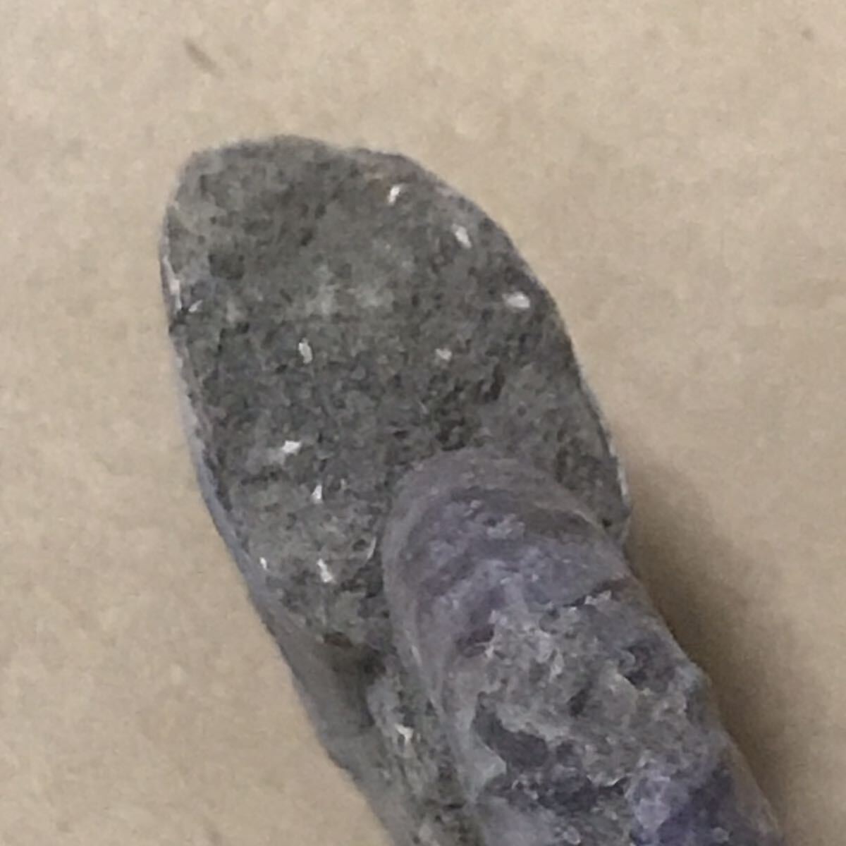 化石 マダガスカル産 アンモナイト 天然石 クリオニセラス 虹色の発色 標本 の画像5