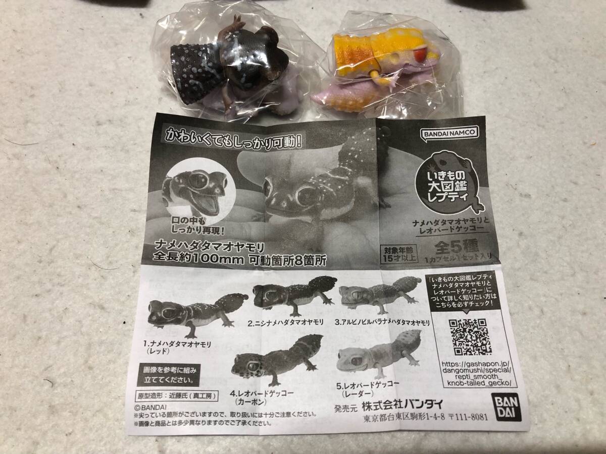 ☆いきもの大図鑑アドバンス レオパードゲッコー 全4種 フィギュア 爬虫類 ヤモリ トカゲ ナメハダタマオヤモリの画像3