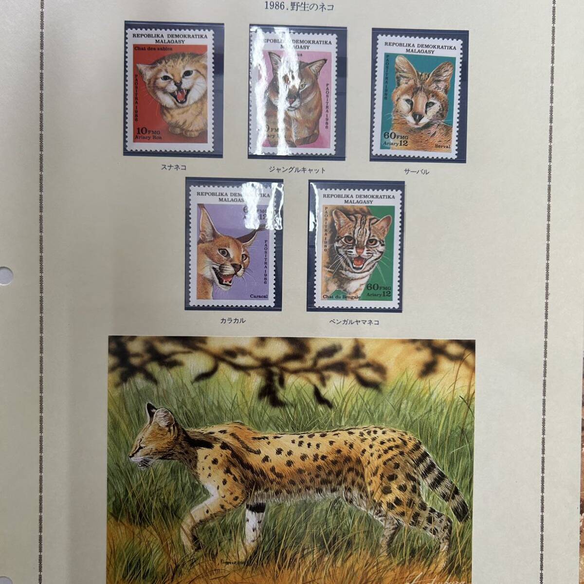 WILD ANIMALS 動物切手 未使用 大量 まとめ セット 海外 アルバム 写真 動物 アニマル 特殊切手 STAMP COLLECTION 野生動物 コレクションの画像5