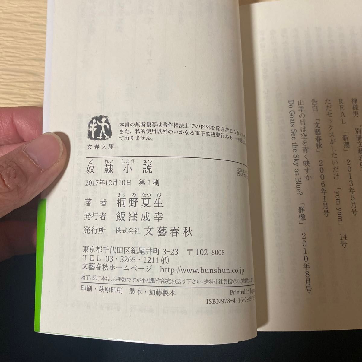 奴隷小説 （文春文庫　き１９－２０） 桐野夏生／著