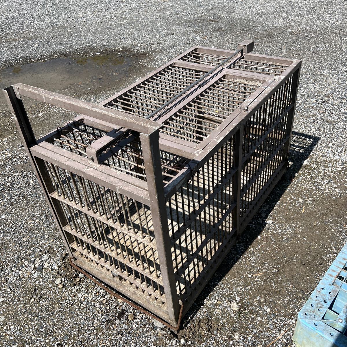 千葉 中古 動物捕獲器 小動物キャッチャー 獣狩り 猪 トラップ 千葉 中古 動物捕獲器 小動物キャッチャー 獣狩り 猪 トラップ