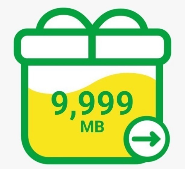 mineoパケットギフト 約 10GB（9999MB）ギフトコード (3)の画像1