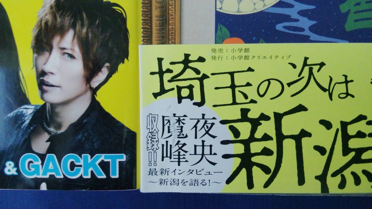 魔夜峰央　2冊セット『翔んで埼玉』＆『２万光年翔んで新潟』