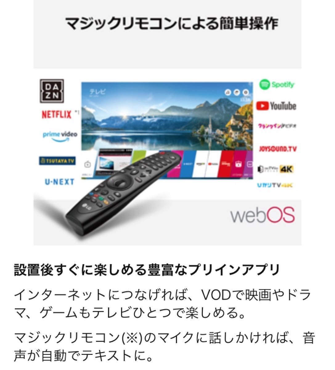 LG 49V型 4K 液晶 スマートテレビ 別売マジックリモコンつき 美品 Bluetooth 4K YouTube ネットフリックス B-CASカード iPhone_画像4