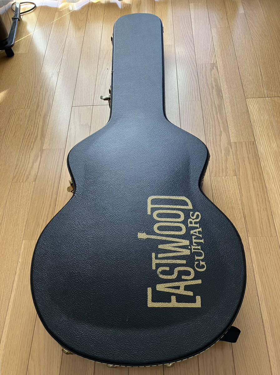 EastWood Guitars DELTA-6 イーストウッドギターズ デルタ−６の画像9