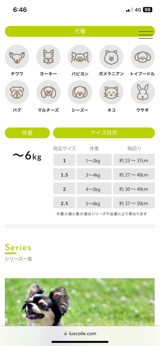 TRE PONTI (トレポンティ) Fibbia ファッビア カモフラージュ ハーネス (LTP112) サイズ1