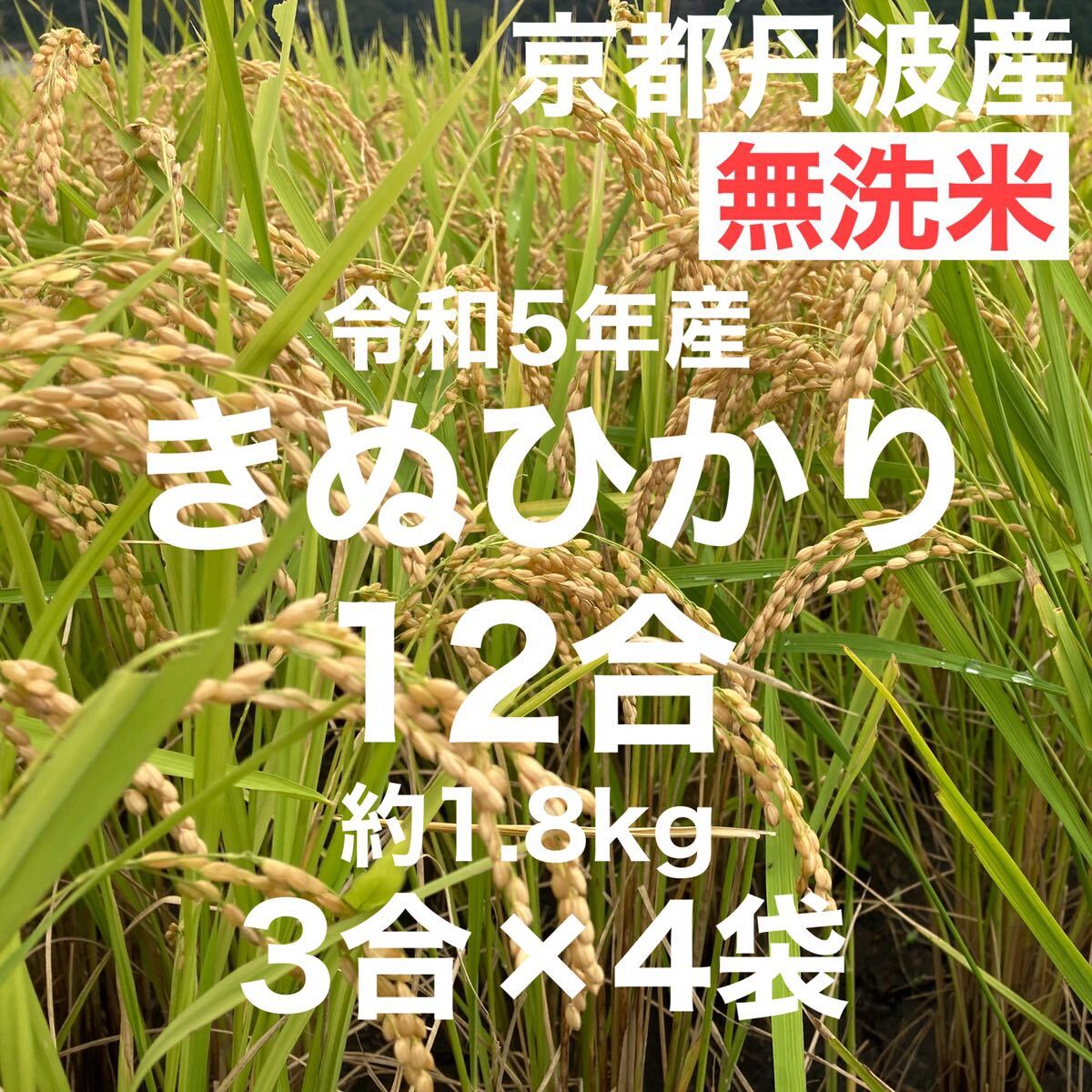 無洗米 12合(3合×4袋) 1.8Kg 京都丹波産きぬひかり 令和5年産 農家直送の画像1