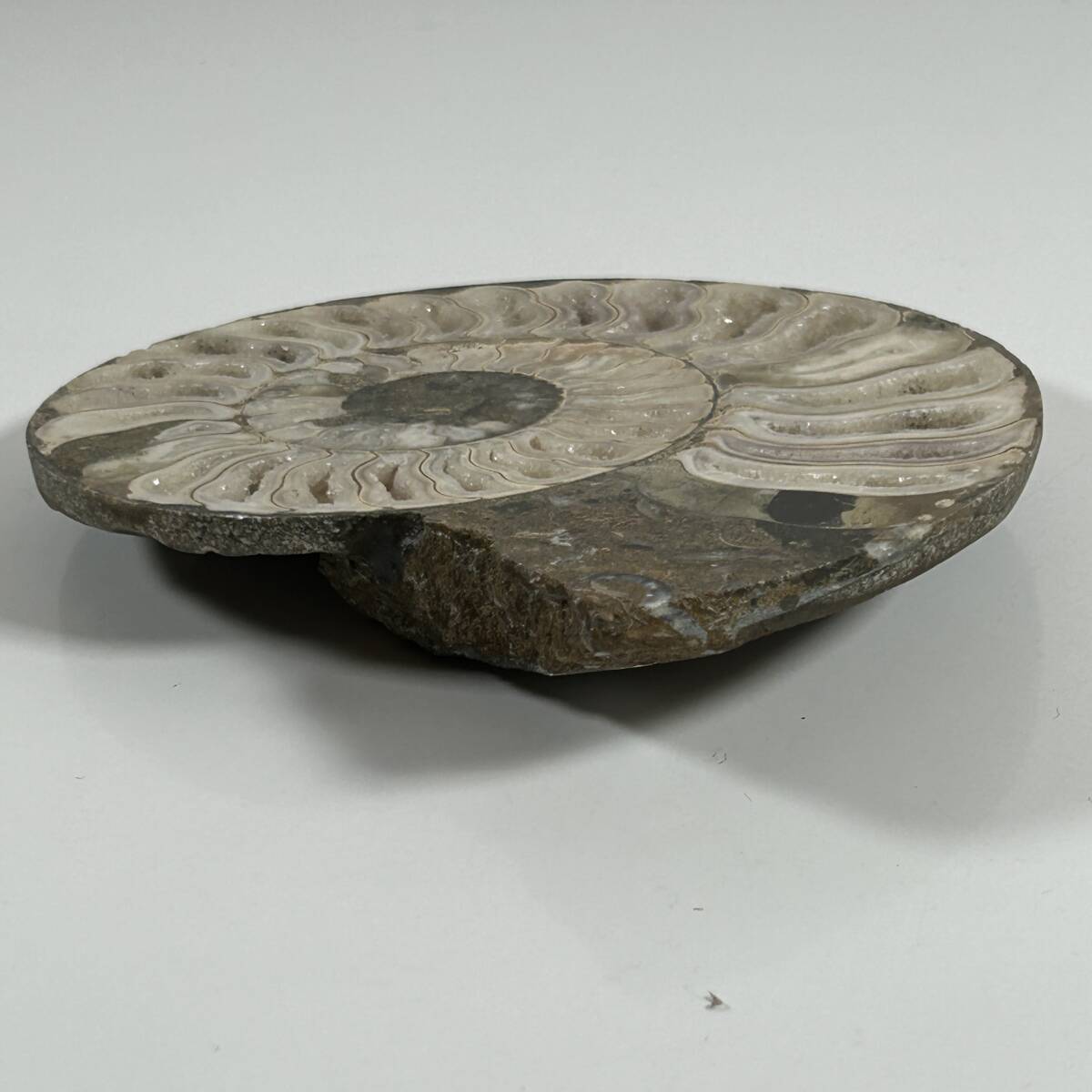 瑪瑙　メノウ　アゲート　原石　約1.2kg　アンモナイト化石　約490g_画像7
