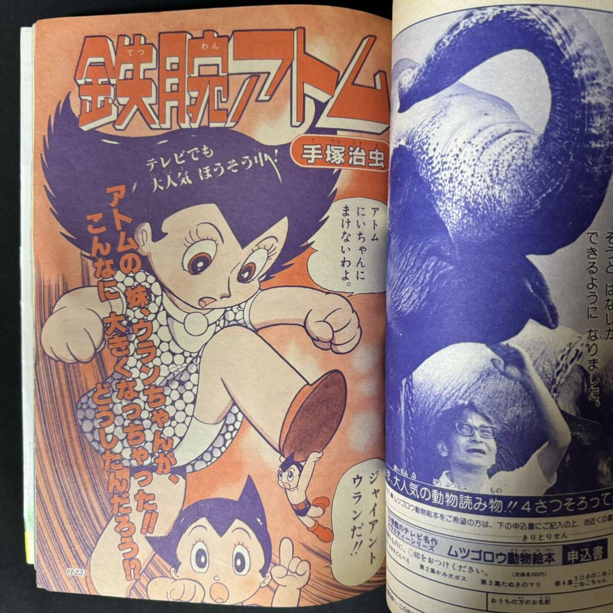 N755 小学二年生1981(昭和56)年4月号 手塚治虫 藤子不二雄 ウルトラ兄弟 ウルトラマン いがらしゆみこ ドラえもん/映画 UFO_画像8