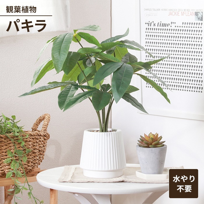 フェイクグリーン 観葉植物 人工観葉植物 パキラ セラミックポット 卓上 インテリアガーデン お手入れ不要 M5-MGKFGB00524_画像1