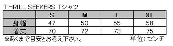 THRILL SEEKERS スリルシーカーズ 5261320000001 STRIPEY Tシャツ S 半袖 ボーダー バイクウェア ウエストウッド_画像2