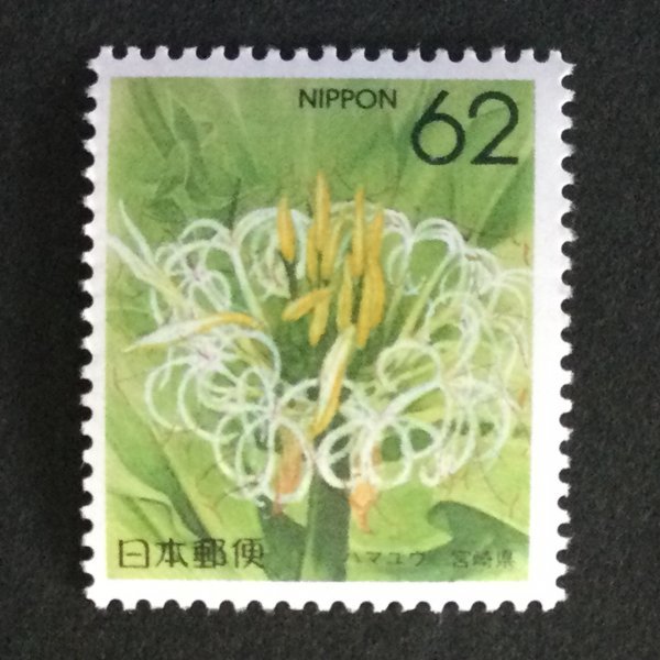 ## collection exhibition ##[ Furusato Stamp ] is mayuu Miyazaki prefecture face value 62 jpy 