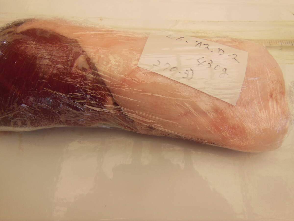 福岡県産天然猪肉 令和６年 オス 〈２７０－３） ロース ４３０ｇの画像4