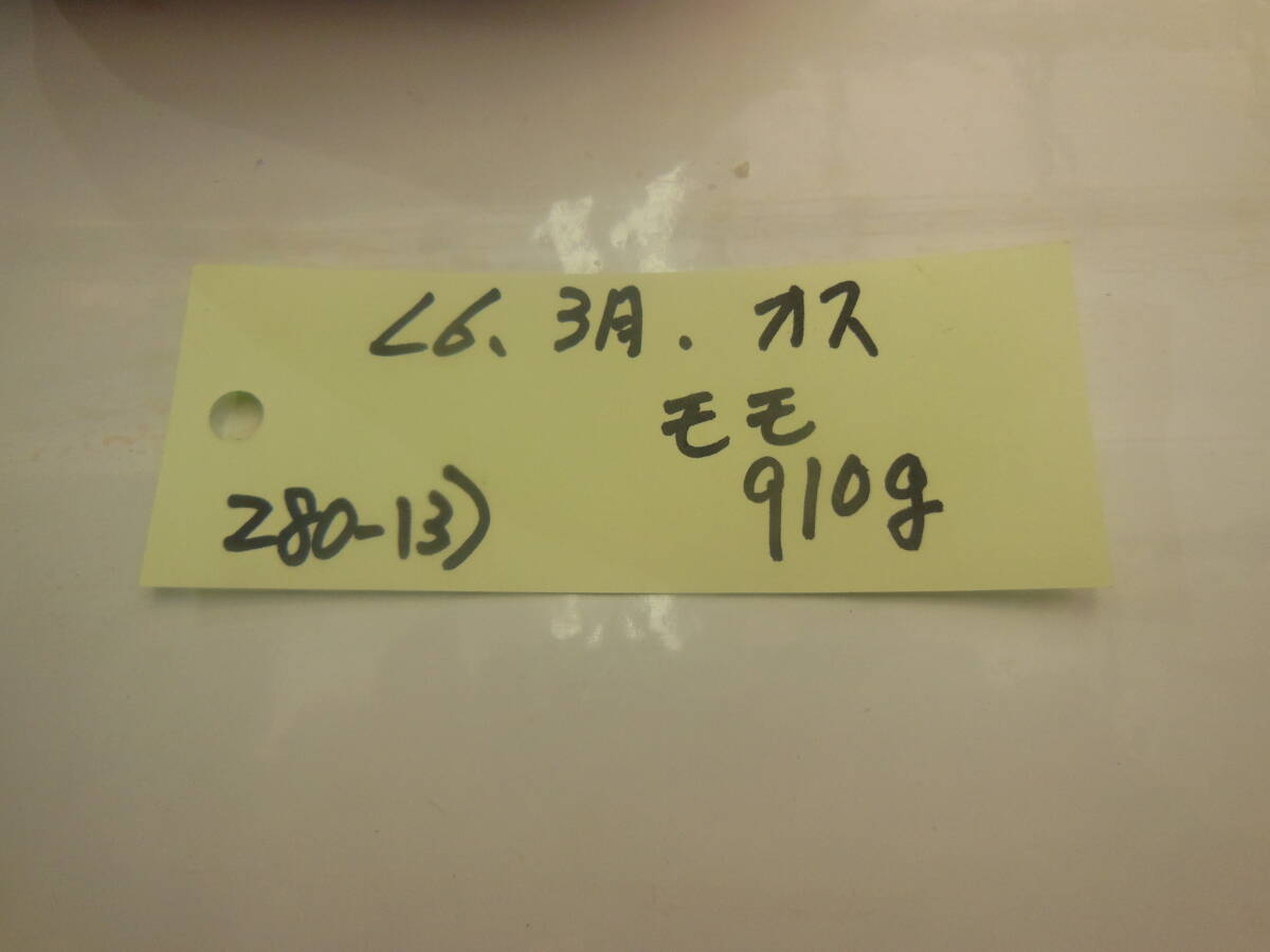 福岡県産天然猪肉 令和６年 3月 オス （２８０－１３） モモ ９１０ｇの画像6