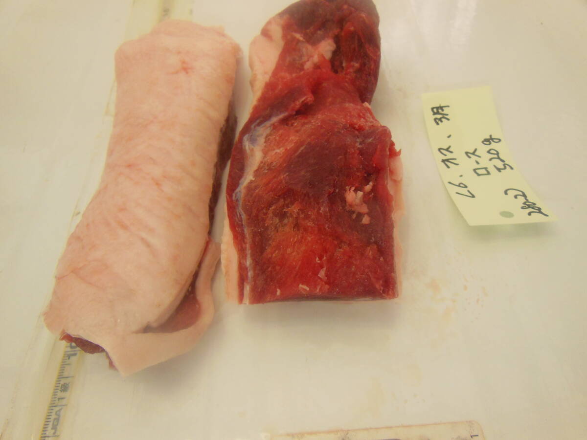福岡県産天然猪肉　令和６年　3月　オス　（２８０－２）　ロース　５２０ｇ_画像3