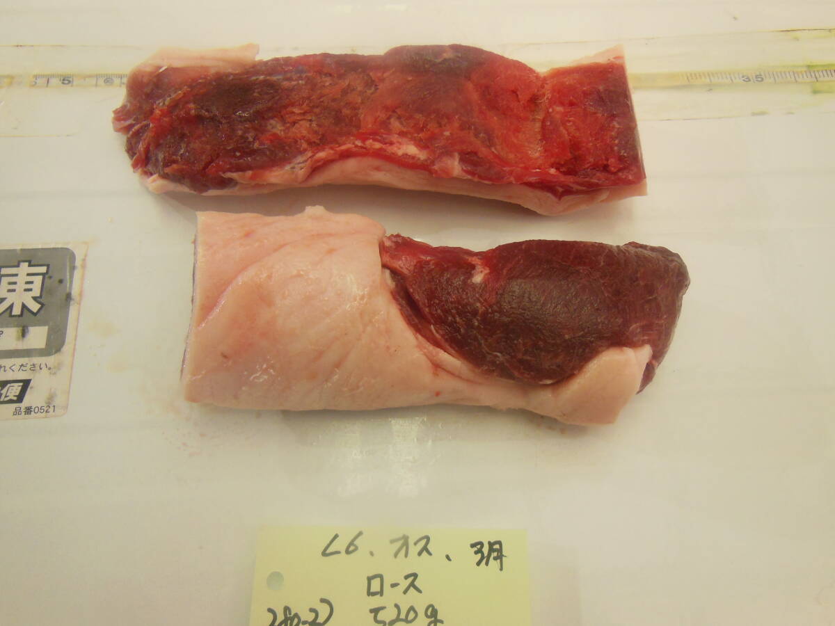 福岡県産天然猪肉　令和６年　3月　オス　（２８０－２）　ロース　５２０ｇ_画像4