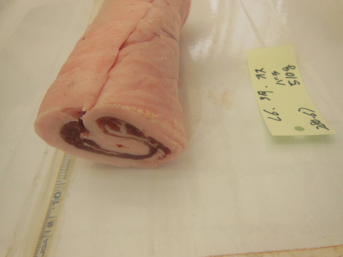 福岡県産天然猪肉 令和６年 3月 オス （２８０－６） バラ ５１０ｇの画像3