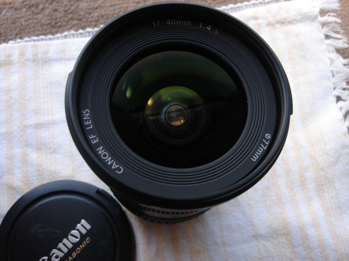 Canon EF 17-40mm f4L USMの画像6