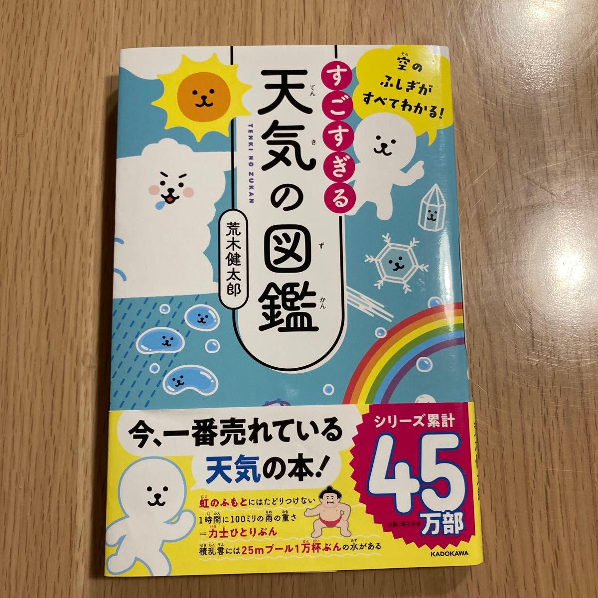 すごすぎる天気の図鑑　空のふしぎがすべてわかる！ （空のふしぎがすべてわかる！） 荒木健太郎／著