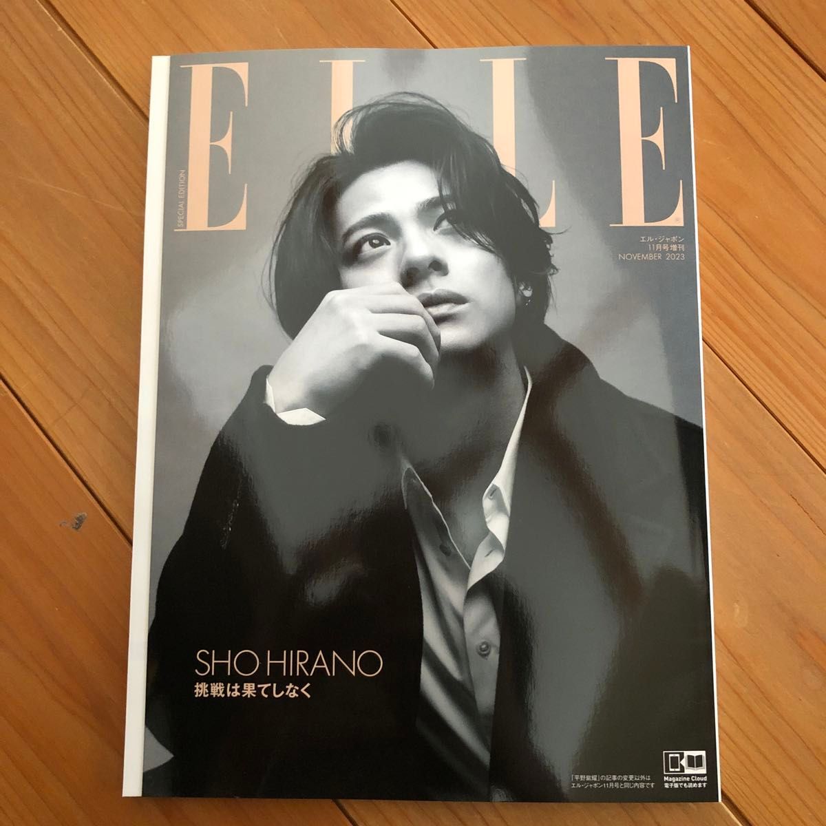 ＥＬＬＥ　ＪＡＰＯＮ増 ＥＬＬＥ　ＪＡＰＯＮ増　平野紫耀特別版 ２０２３年１１月号 （ハースト婦人画報社）