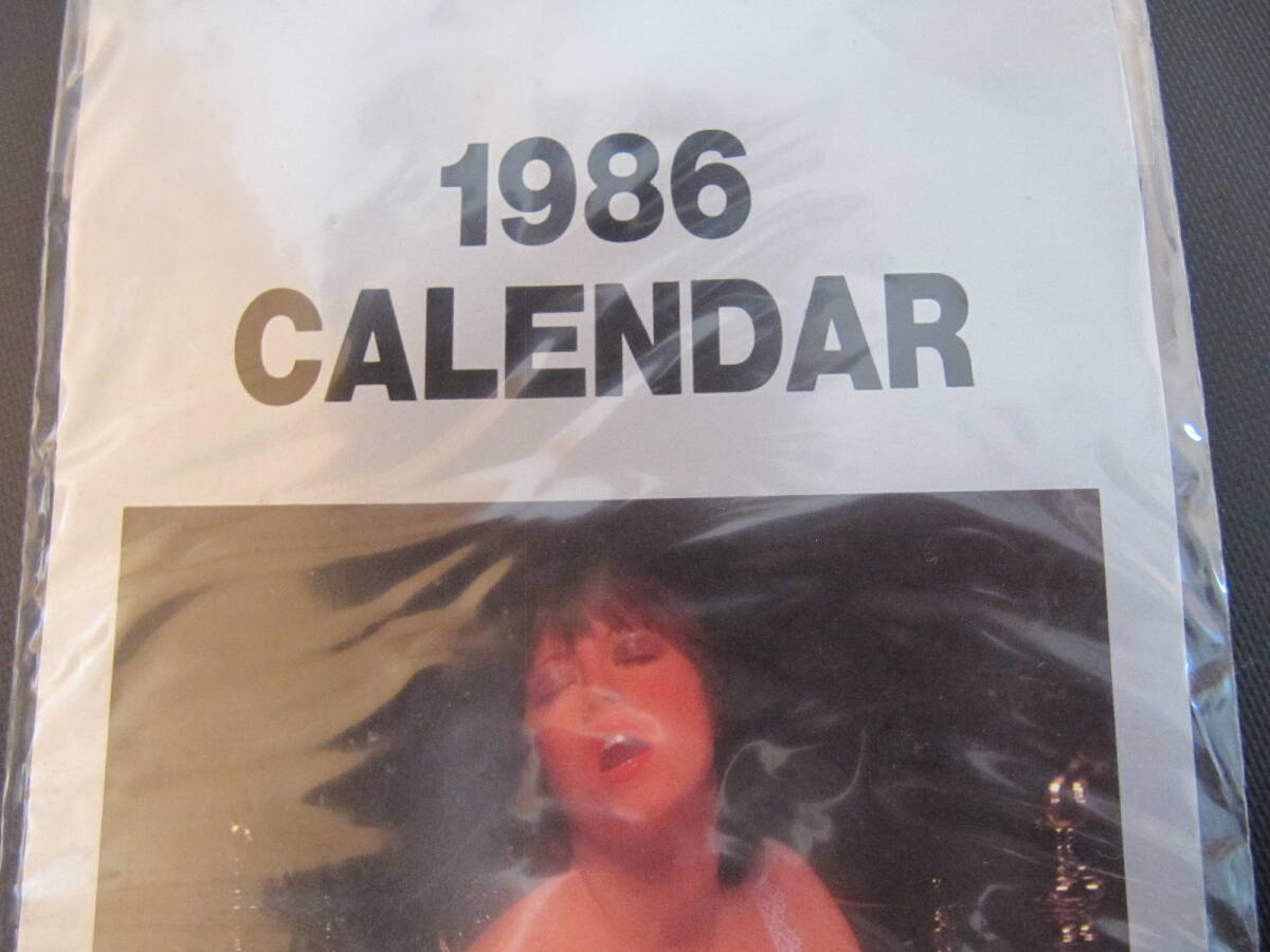 未使用 当時物 NISSAN DIESEL 日産ディーゼル UD ヌードカレンダー 1986の画像3